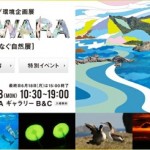 新宿に大自然・小笠原がきてるんだよ、6/18(月)までだよ、急いで! 4740f4bda53fe913877a56f949e58325.jpg