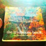 野沢温泉にツリーハウス!? Tree House-Nozawaonsen