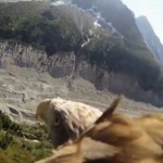 シャモニーを滑空するワシさん視点のPOVカメラ動画がなんかスゴイ! Flying-eagle-point-of-view.jpg
