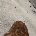 ワシ(鷲)さんのPOV映像ふたたび! Flying-eagle-point-of-view-more-footage-YouTube.jpg