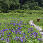 信越トレイルのプロモーションビデオってあったんだね Shinetsu_Trail_Promotional_Video.png