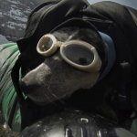 『WHEN DOGS FLY』にて、ワンコ、ウイングスーツでついに空を飛ぶ When_Dogs_Fly__World_s_First_Wingsuit_BASE_Jumping_Dog_on_Vimeo.png