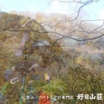 株式会社コージツ(好日山荘)へのTOBについて素人まとめ kojitu