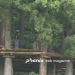 「phenix web magazine」の動画が出揃ったようなので…。 phenix web magagine