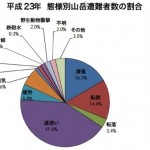 平成23年中における山岳遭難の概況について(警察庁) www.npa_.go_.jp_safetylife_chiiki28_h23_sangakusounan.pdf.jpg