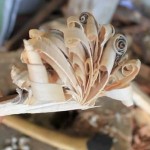Bushcraft(ブッシュクラフト)から学ぶ、自然の中で生き抜くための知恵と技 bushcraft-feather-stick