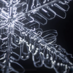 タイムラプス「snowtime」で見る雪の結晶の造形美が美しすぎる。。。 snowflakes.png